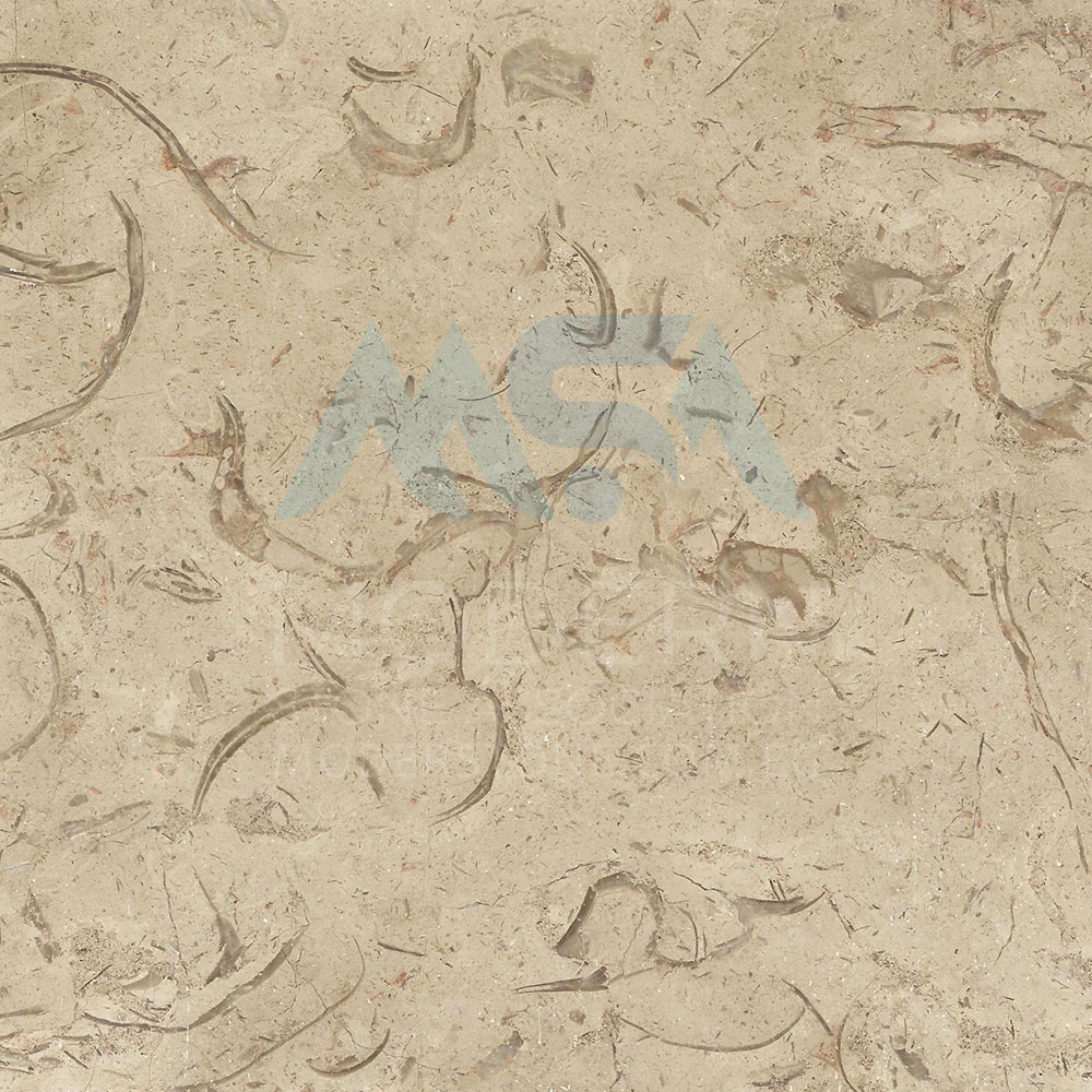 Catren Marble Catren Marble